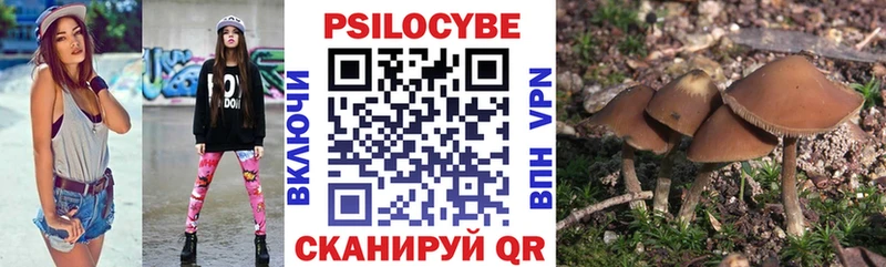 Галлюциногенные грибы Psilocybe Нытва